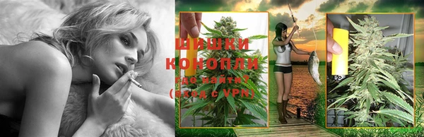 амф Богданович