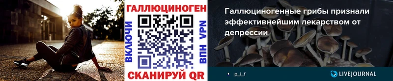Купить закладки  Ржев  Галлюциногенные грибы GOLDEN TEACHER 
